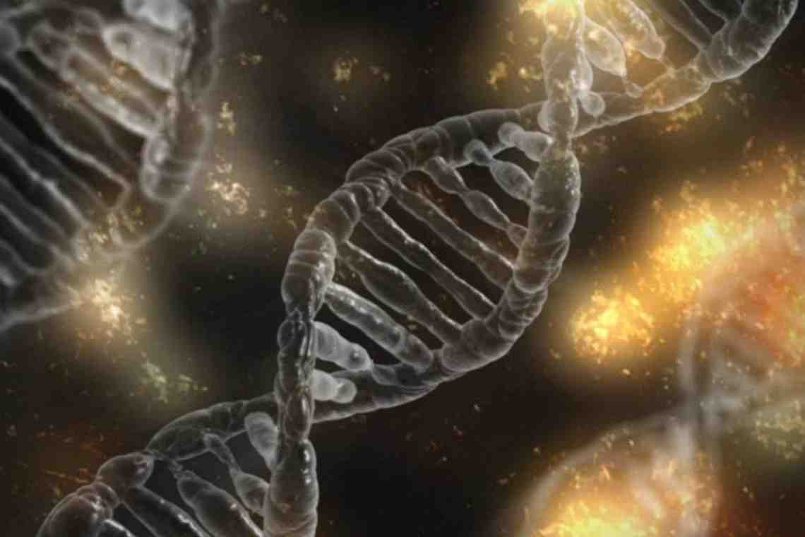 Обнаружен генетический катализатор эволюции человека