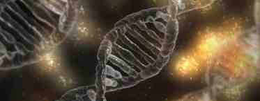 Обнаружен генетический катализатор эволюции человека