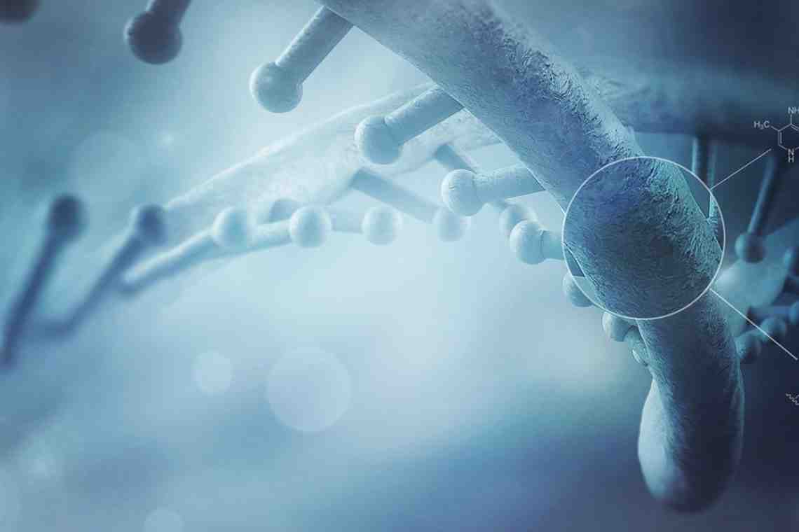Скорость появления мутаций в ДНК