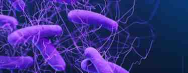 Бактерии способны кооперироваться в борьбе с антибиотиками