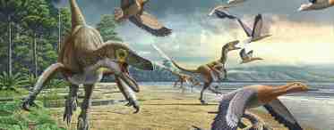 Эволюция динозавров и птиц