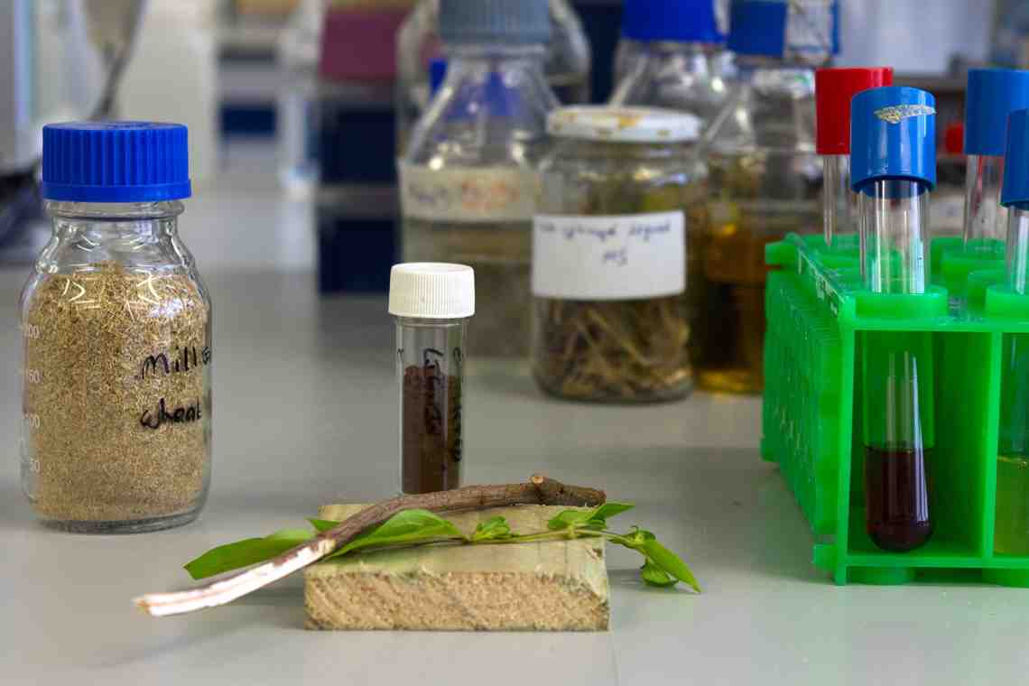 Получение биоразлагаемых полимеров