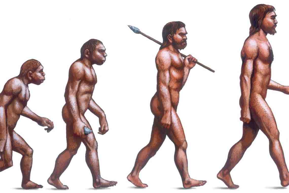 Седьмой этап эволюции