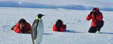 Жизнь в Антарктиде