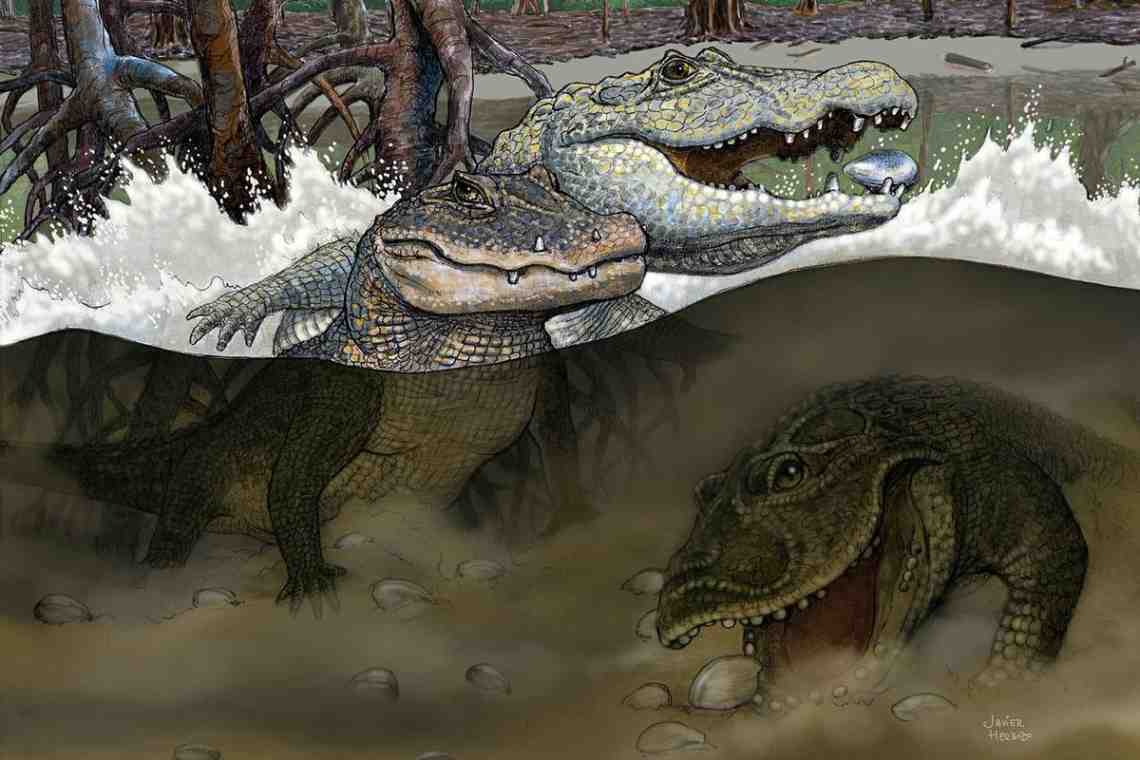 Аллигаторы и тайна динозавров