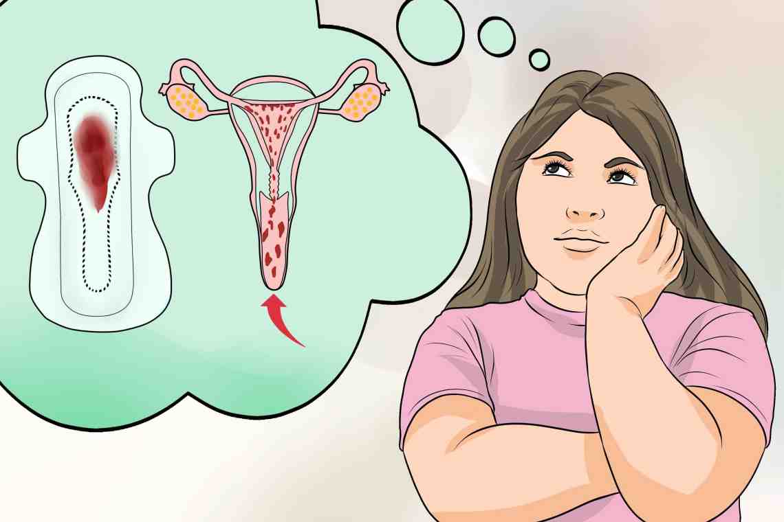 Что такое менструация и почему она происходит