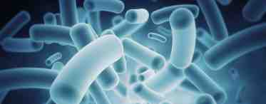 Что такое патогенная микрофлора человека?