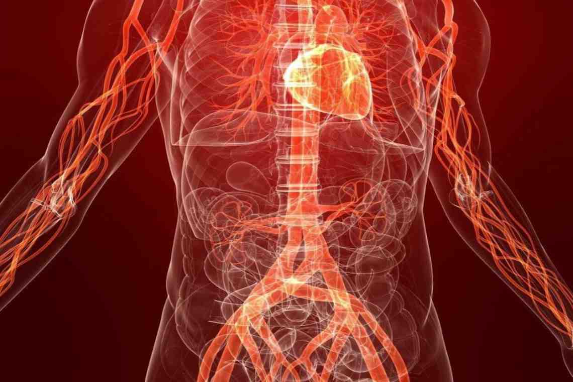 Какую роль играет в организме артериальная кровь?