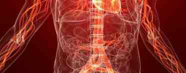 Какую роль играет в организме артериальная кровь?