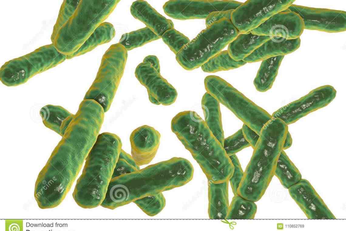 Анаэробные бактерии. Жизнь без чистого кислорода