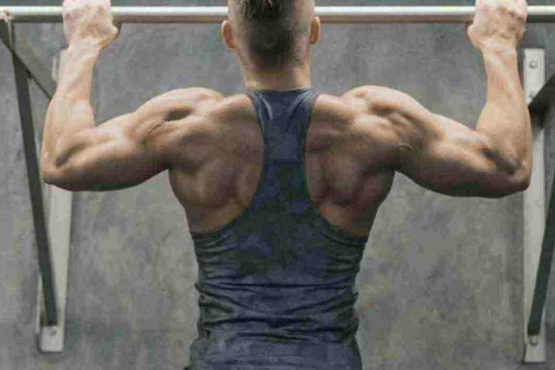 Широкие мышцы спины, атлетическая перспектива