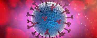 Ретровирус - это что такое?