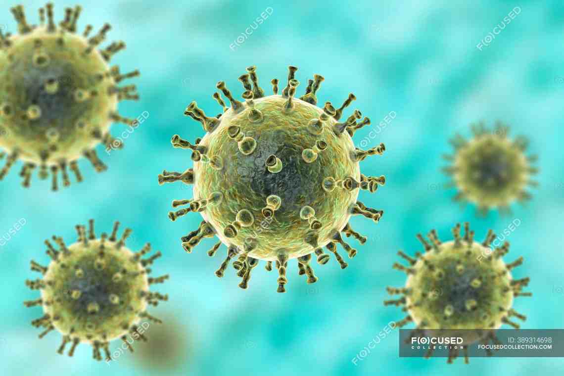 Вирус варицелла-зостер - что это такое? Герпес зостер: лечение, причины, симптомы