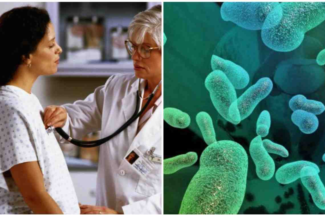 Многие бактерии вызывают заболевания инфекционного характера