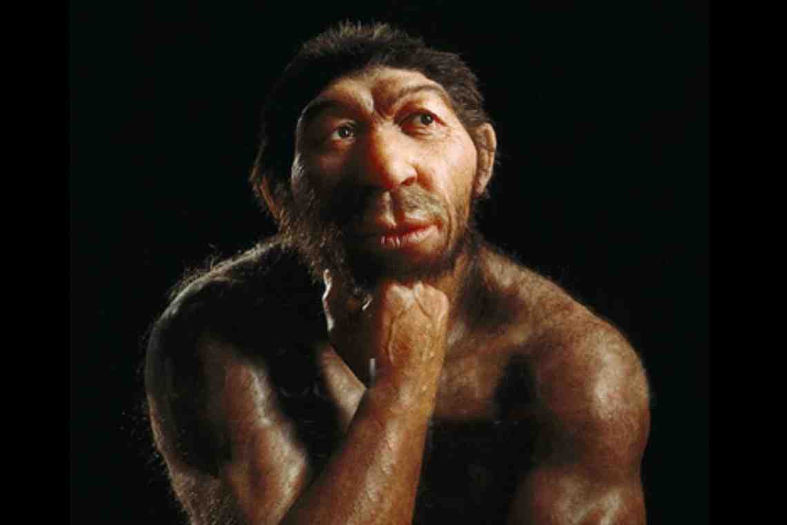 Предки Homo sapiens