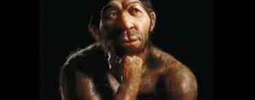 Предки Homo sapiens