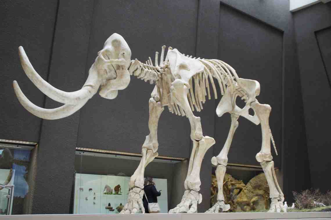Наидревнейшее животное со скелетом
