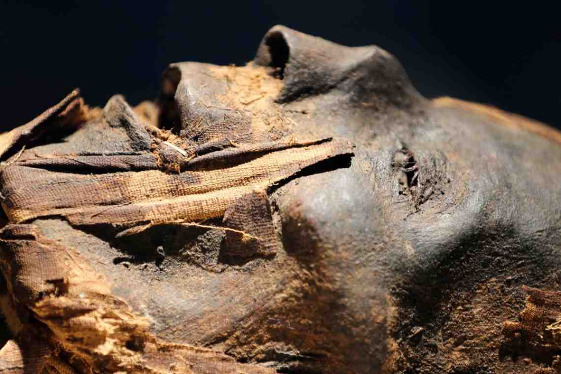 Исследование алтайской мумии