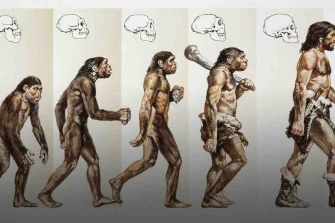 Эволюционная истина ...измов (окончание)