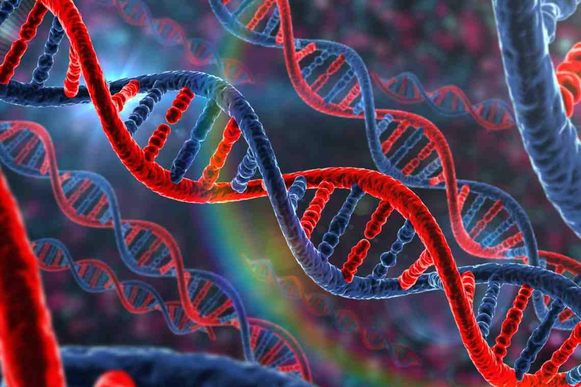 Расшифрован новый геном