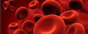 Откуда берутся повышенные эритроциты в крови?