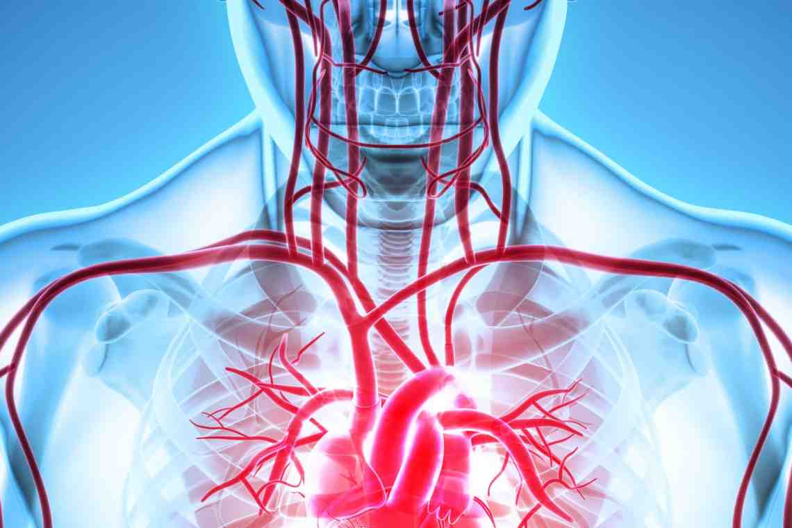Сердечно-сосудистая дистония: проявления и лечение