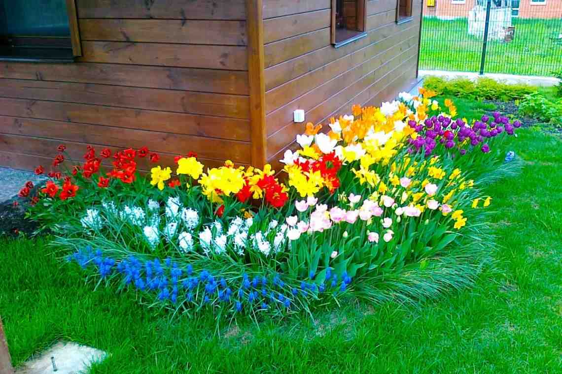 Какие цветы можно посадить во дворе