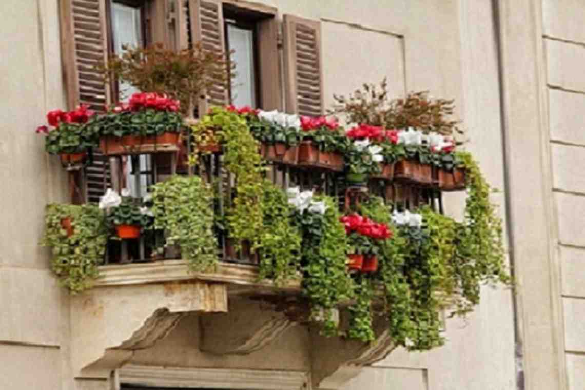 Ящики для цветов на балкон: яркое украшение фасада