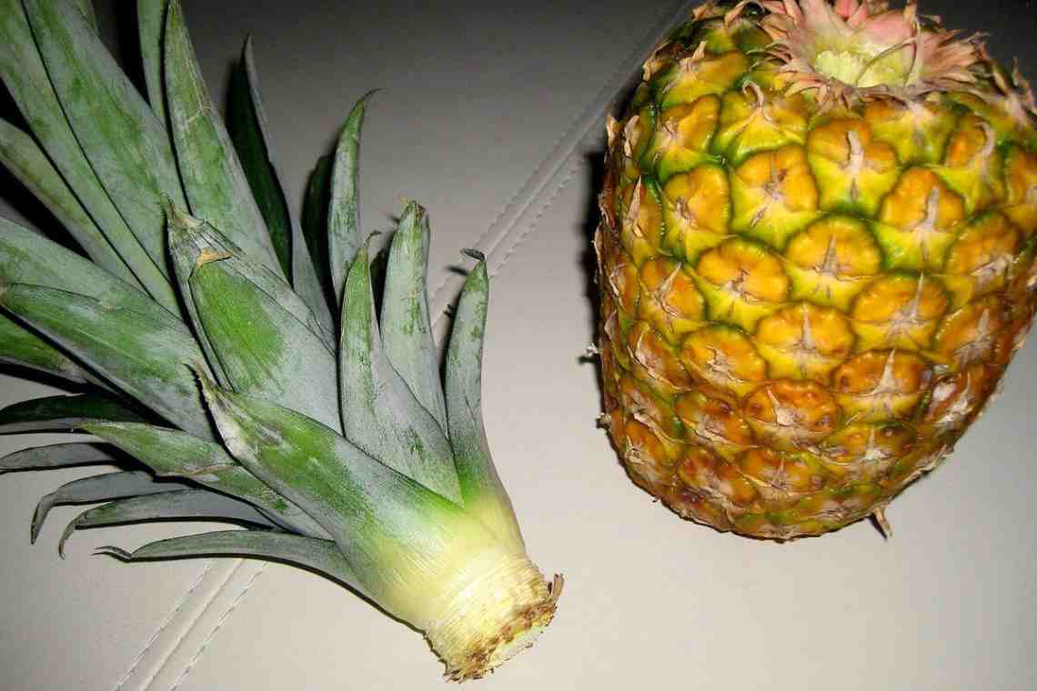 Как вырастить ананас