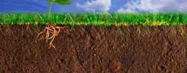 Как улучшить плодородие почвы