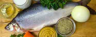 Рыба пелядь: рецепты приготовления