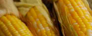 Кукуруза вареная. Рецепт для домашнего использования