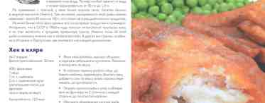 Сима (рыба): описание, вкусовые качества, калорийность, рецепты приготовления
