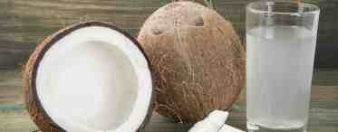 Вред и польза кокосового молока, блюда, рецепты