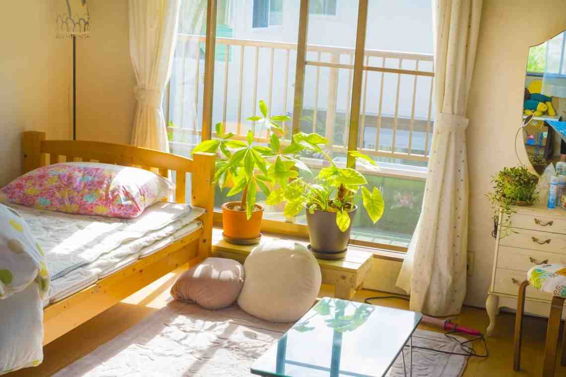 Как уберечь мебель от выцветания в солнечной квартире