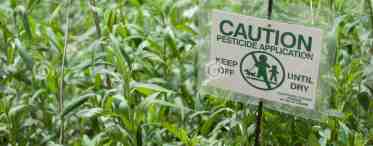 Пестициды: применяем по правилам