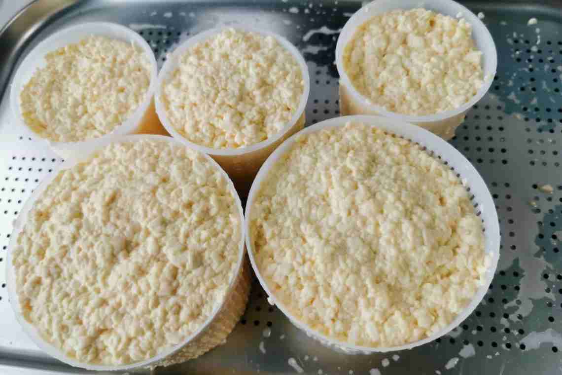 Как делать сыр? Рецепт приготовления сыра в домашних условиях