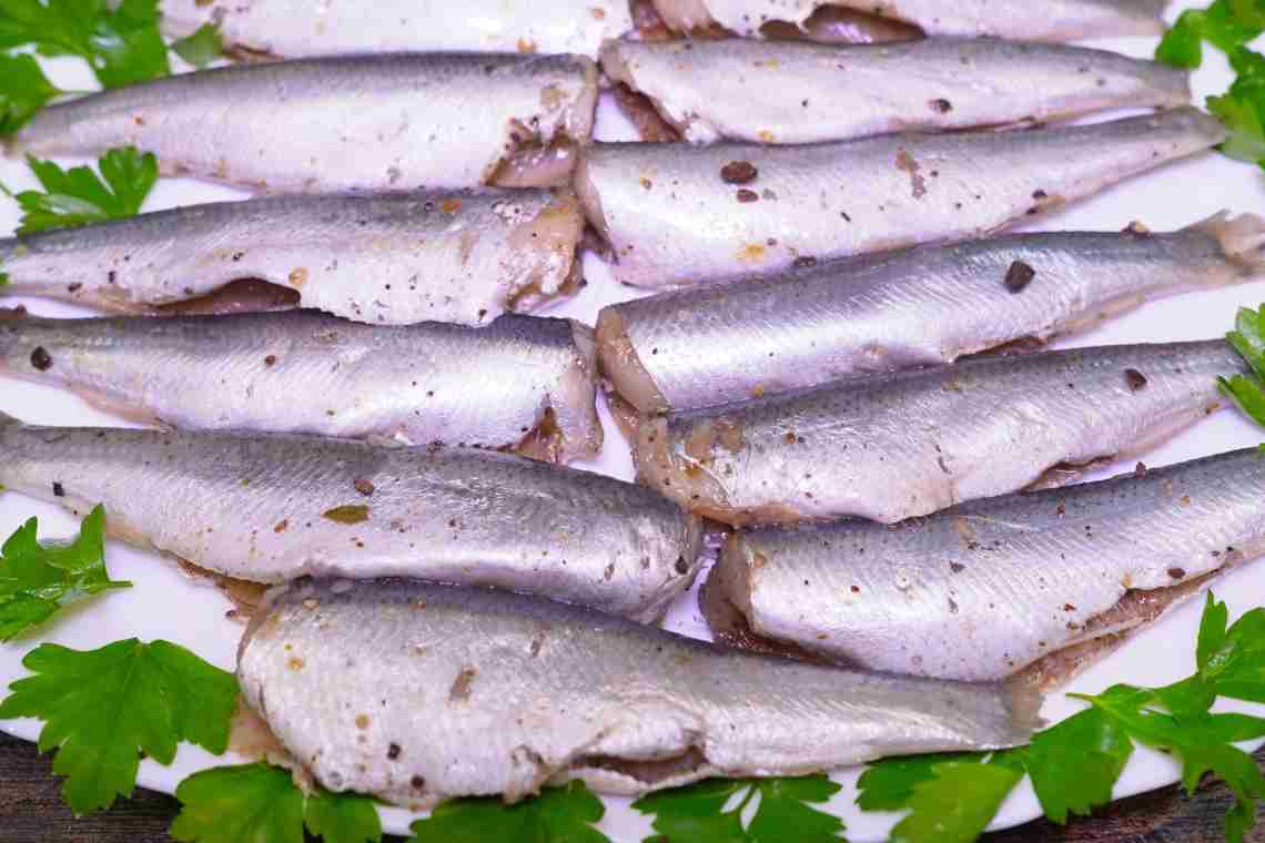 Вкусная рыба салака: рецепты приготовления