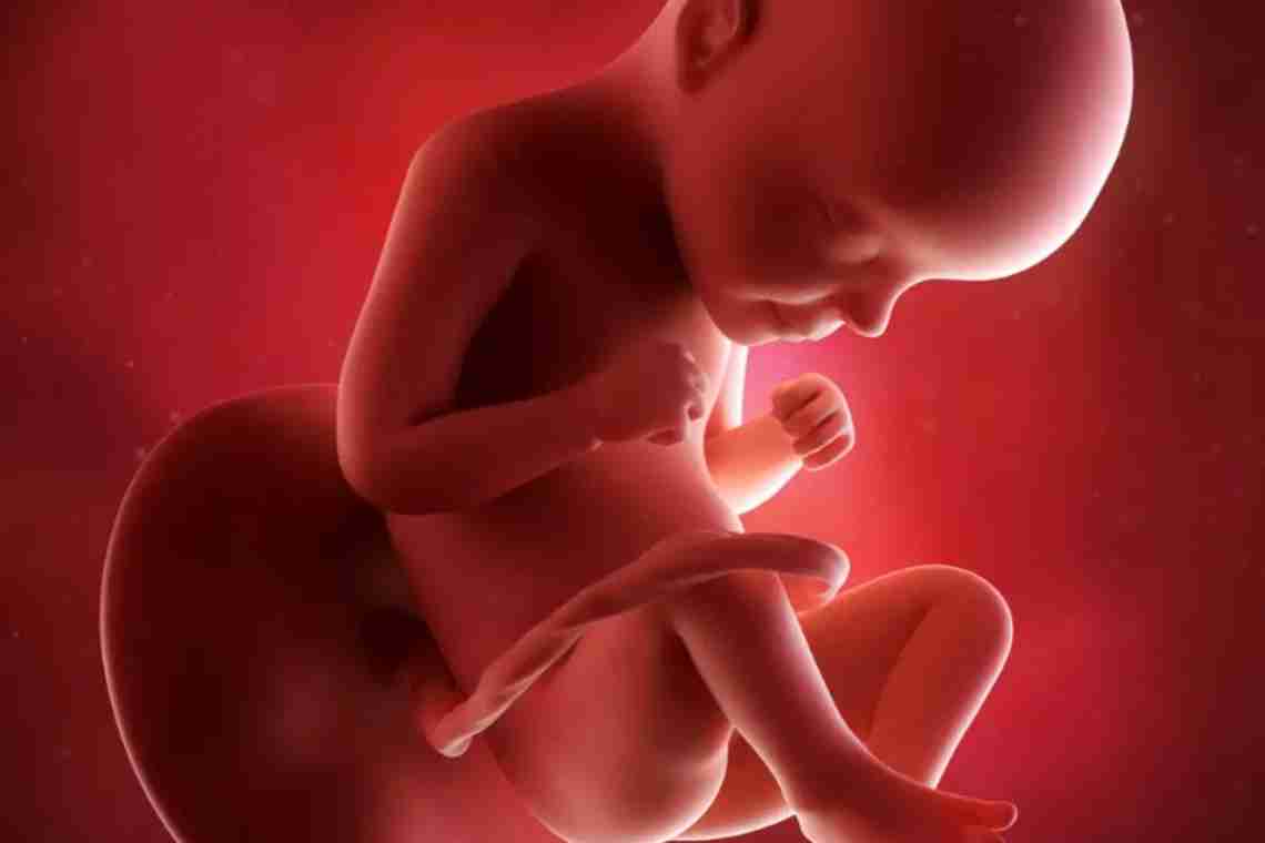30 недель беременности: ощущения, развитие плода