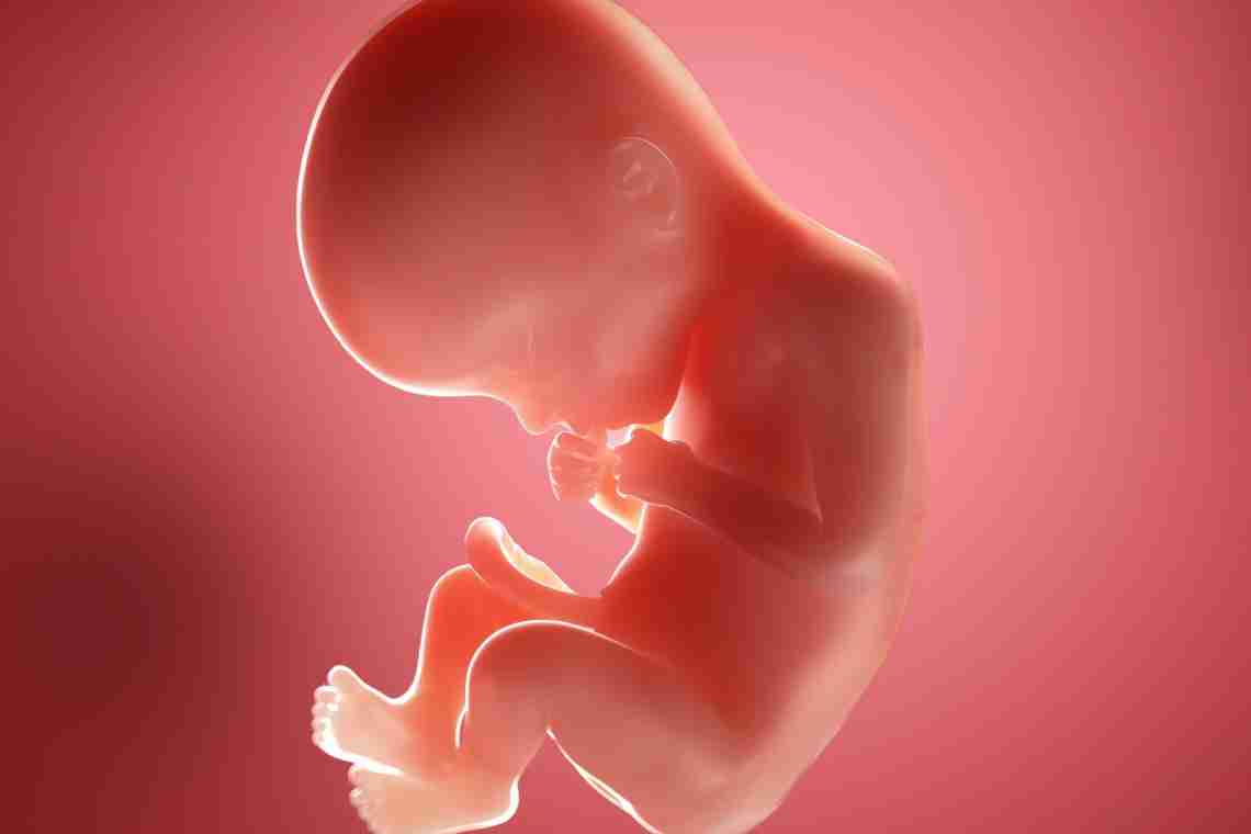 22 недели беременности: ощущения, развитие плода