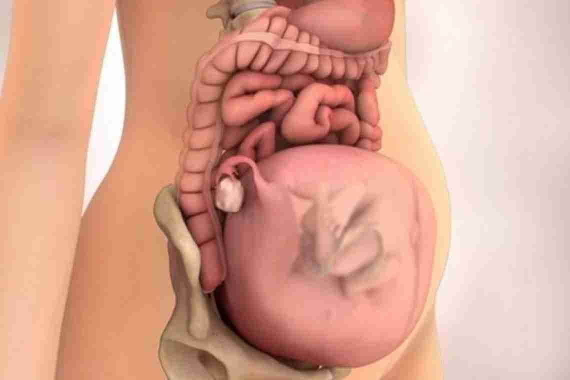 31 недель беременности: ощущения, развитие плода