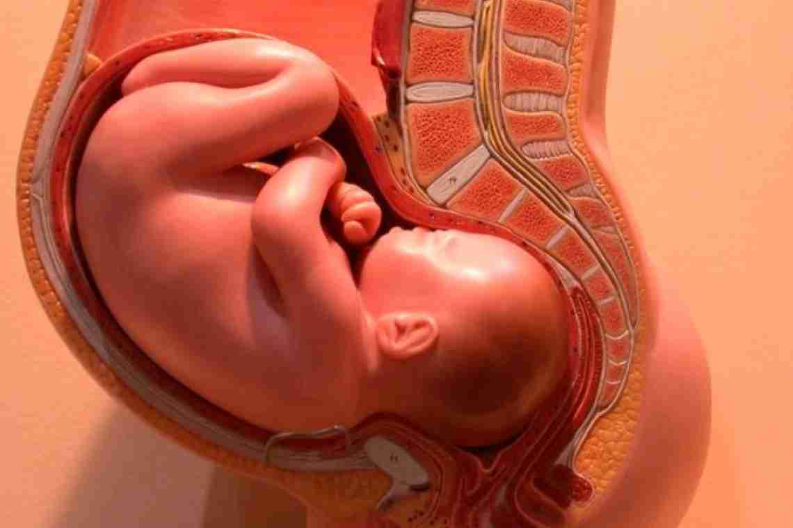 34 недели беременности: ощущения, развитие плода
