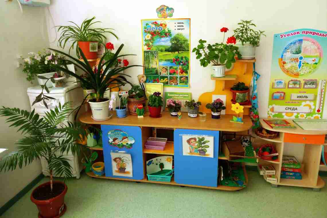 Как оформить уголок природы в детском саду