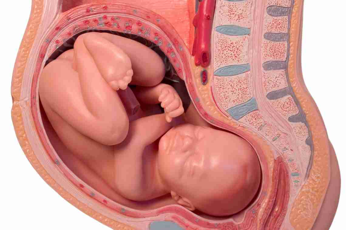 39 недель беременности: ощущения, развитие плода