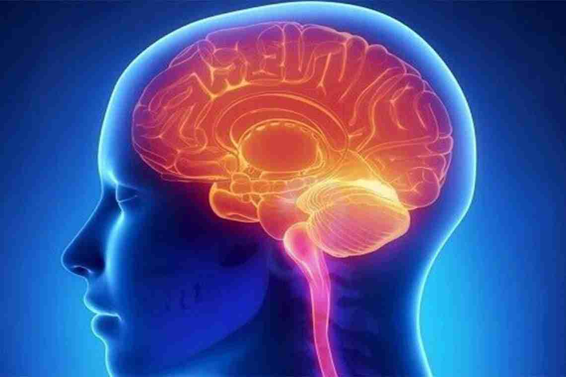 Энцелофапатия головного мозга: виды и симптомы заболевания