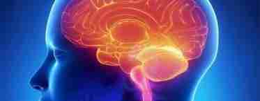 Энцелофапатия головного мозга: виды и симптомы заболевания
