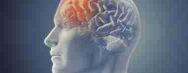 Гематома головного мозга: симптомы, лечение, последствия операции