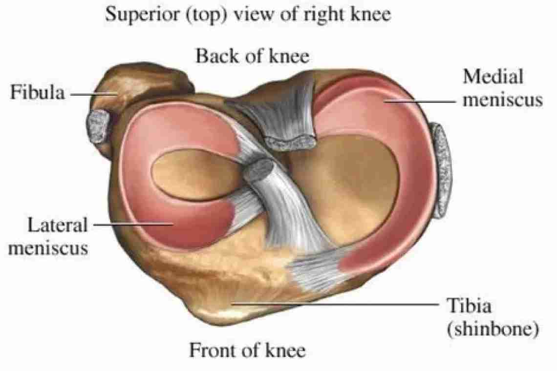 Травматология. Повреждения мениска коленного сустава