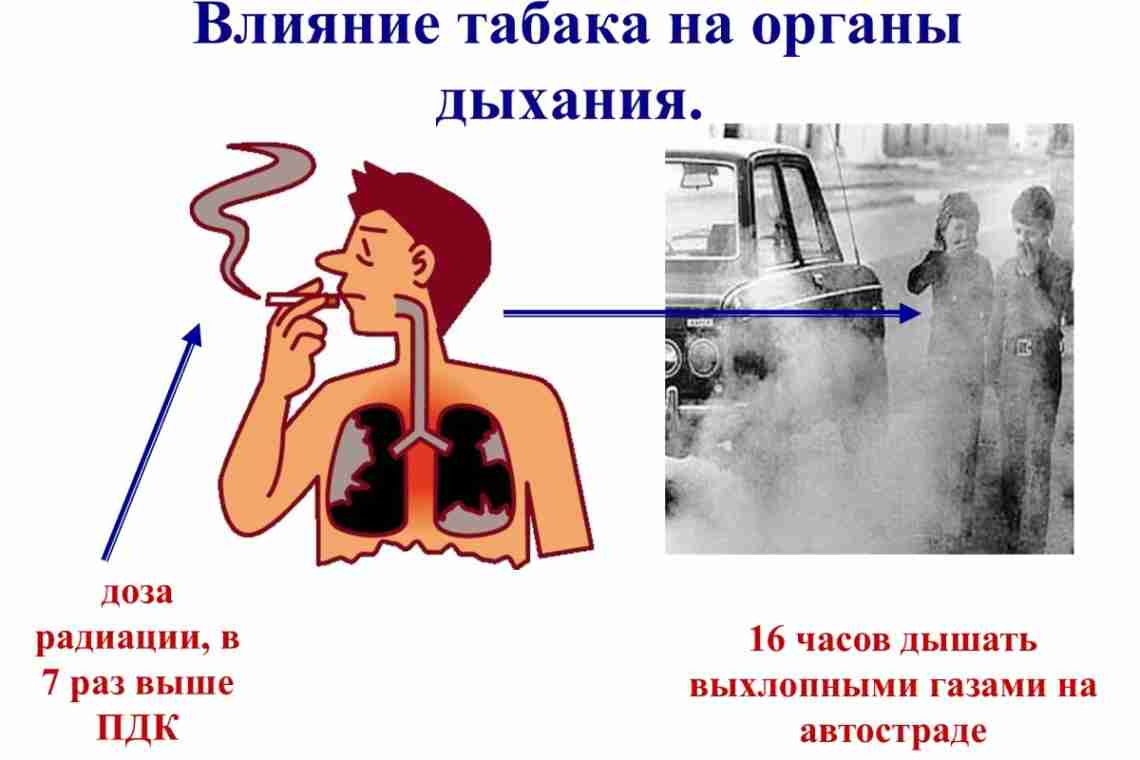 Курение и его влияние на здоровье человека: вся правда о сигаретах