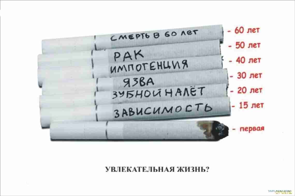 Сколько в день можно курить сигарет? Вред курения